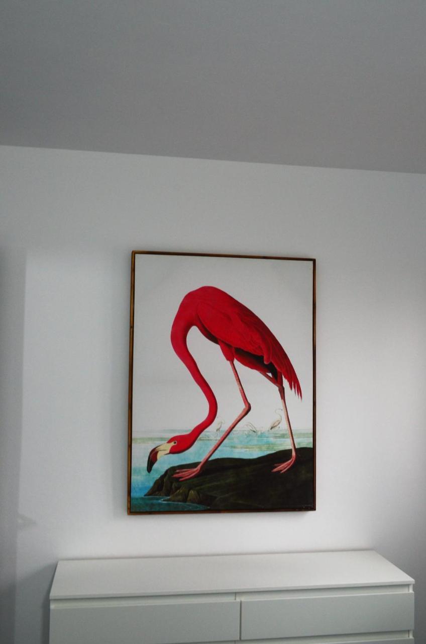 Apartamento Sauco Los Llanos De Aridane Luaran gambar